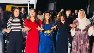 Vedat katar düğünü 2 ( serdem müzik )