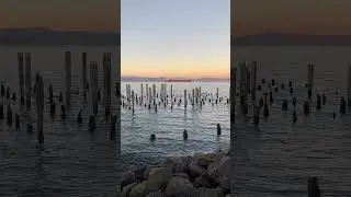 Sunset by the water #nature #sunset #ocean #sea #shorts #reels