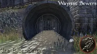 Elder Scrolls, The (Longplay/Lore) - 0025: Wayrest Sewers (Online)