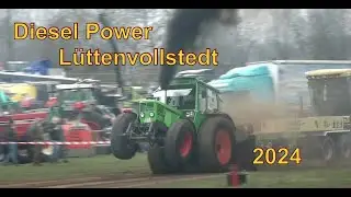 Trecker Treck - Diesel Power L&uuml;ttenvollstedt 2024 - Live Stream