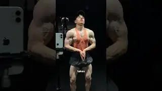 Gym starter builds TIER LIST