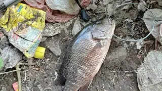 Casting Mj menggunakan minnow dan softlure