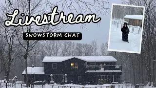 Snowstorm Livestream: RIP my camera! Unboxing makeup, Skull Panda x Wednesday & new Crystals 🔮