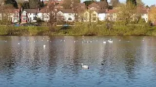 A peaceful afternoon walk at brookvale park. #England #Birmingham #Lockdown