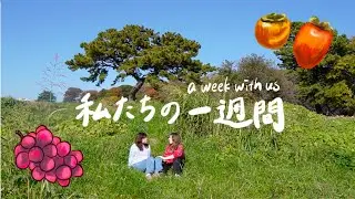 Slice of Life in Tokyo: Grape Goddess | Mountain Curry | Creative Constipation [EG/JP SUB]