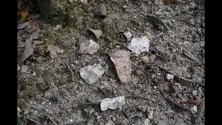 Old Indian Quarry at Lower Hillsborough Wilderness Preserve