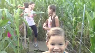 Corn Field Maze at the Peltzer Pumpkin Patch - 2011