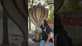 Me with nagin 🐍😱 #viralvideo #nag#naggin #trending #bitemechallenge #snake #status #trend #shorts