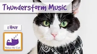 Музыка для беременных кошек, помогая родить котят в мире