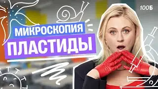 Хлоропласты и хромопласты под микроскопом | Ксения Напольская