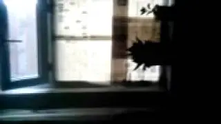 MOV00749