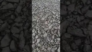 steam coal GAR 6300