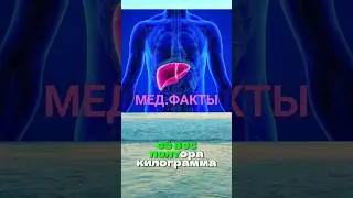 Interesting medical facts continued #shorts #facts #medicine #health #doctorrehabilitation