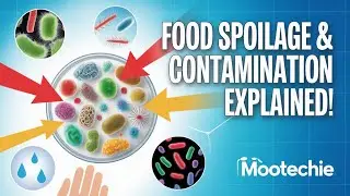 Food Microbiology | Chemical Changes in Food by Microorganisms & Sources of Contamination-MooTechie