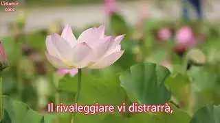 Sura102. At-Takaathur (Il Rivaleggiare)