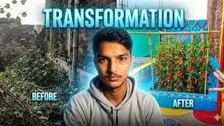 Old Garden 🌿 transformation Tomato Plants 🍅 #tomato #grafting #gardening #farming #tomato 