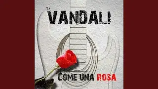 Come una rosa