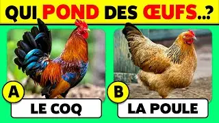 Connais-tu les ANIMAUX...? 🦁🦓🐳 45 Questions de CULTURE G&Eacute;N&Eacute;RALE sur les Animaux ✅
