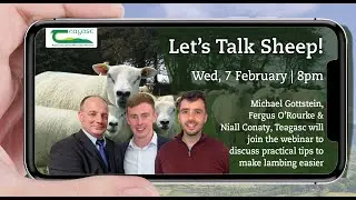 Let's Talk Sheep - Practical tips to make lambing easier