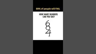 How Many Numbers Can You See?