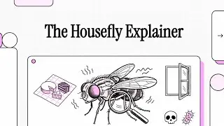The Housefly Explainer||Vector, Contamination, and Control||biology #2||#biology #fly #vector #pest