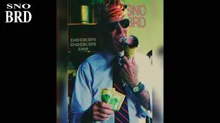 SNOBRD (feat. Joe Biden) - Chocolate Chocolate Chip - [experimental downtempo, cassettecore]