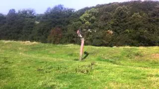 female finnish goshawk first day off line flight 2