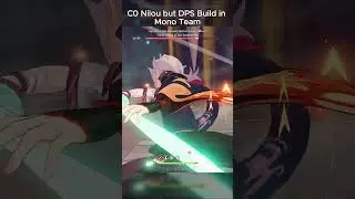 C0 NILOU BUT DPS BUILD IN MONO TEAM...?!