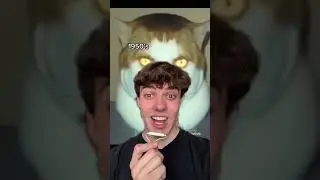 MONDAY LEFT ME BROKEN CAT PREDICTED THE MOON LANDING?!?!?!