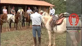 Aula de Equitação no curso da PUC