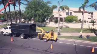 ProQual Tree Division