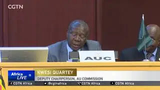 AU, IGAD vow serious action against violators of S.Sudan peace process