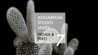 Aquaregia Studio Mix No. 7: Troma & PERS1
