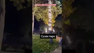Сузак city