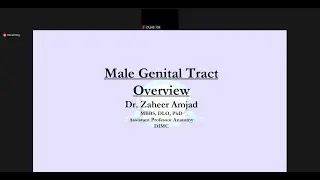 Male Genital Tract | Revisit | Anatomy