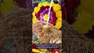 మహా శివలింగానికి (ఏక లింగంలో 1008 లింగాలు) మహాన్యాస పూర్వక ఏకాదశ రుద్రాభిషేకం 🌺🙏