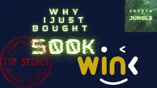 Why I Just Bought 500,000 Wink tokens!