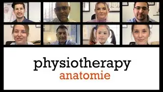 Anatomie Physiotherapy - Meet some of our PHYSIO TEAM