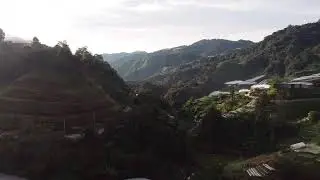 Cameron highland #perak #malaysia #drone