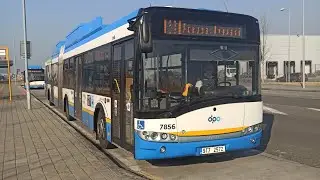 Autobusy Ostrava