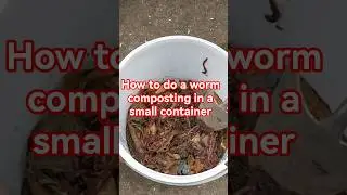 How to make a mini worm casting farm #wormfarm #wormcastings #vegetablegardening