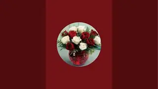 ياله فواوووووازيرررر