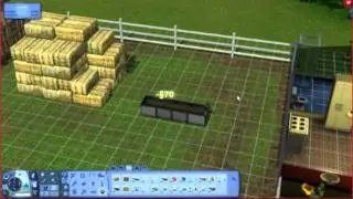 The Sims 3 Pets - Horse Training Tutorial Part 1 of 2