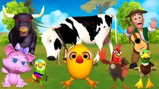 El Pollito y el Tractor de la Granja del Toro y del Pollito la granja de la vaca