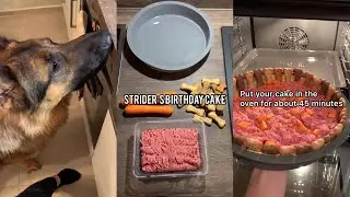 Making My Dog A Birthday Cake