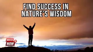 Motivational Journeys Through Nature: Finding Your Path to Success