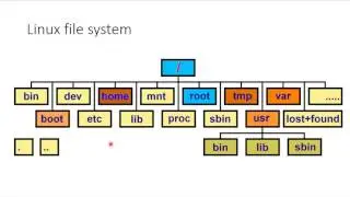 Linux command line tutorials from beginners to pro 3: Linux File system