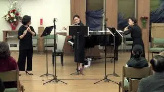 Zempleni - Flute Trio