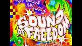 Bob Sinclair - Sound of freedom [Singalong]
