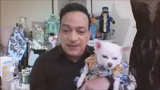 Anthony Rubio's Live Interview: How You Can Get Your Dog Into Modeling